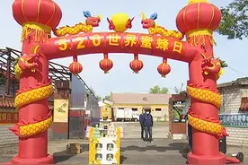 林口：世界蜜蜂日“关爱蜜蜂 从我做起”图片