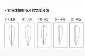 手把手教你选择适合你的羽毛球，让你的羽毛球减少消耗图片