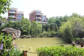 南宁一小区两天内抓到9条大蛇！为何到了深秋，蛇类还不冬眠？图片