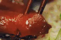 吃猪蹄补胶原蛋白？​真相可能让你大吃一惊......图片