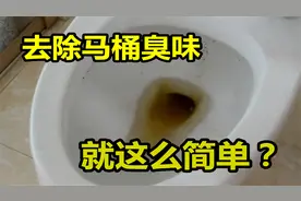 马桶太臭了，放这3样东西，就不会再有异味，每家每户都需要图片