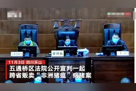 黑心猪贩上演“病猪漂流记”：上百头病猪跨数省转手多次被查 4人获刑图片