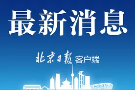 宠物犬在小区内被车撞死，该赔多少？法院这样判图片