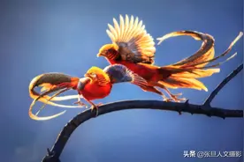 山西翼城发现“凤凰”中央电视台近日热播 笔者领你探秘一下图片