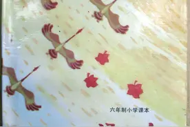 1987版小学《语文》第一册「1991印」六年制课本图片