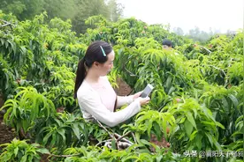 襄阳这个地方的农村人能拿退休工资，59岁的杨昌宝却住了20年草棚图片