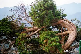 东汉时期桥玄和百折不挠的故事图片