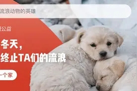 教爸妈用手机——在微信中怎么做公益？