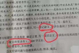 河南省中考语文作文20年未变的要求，2020年改了图片