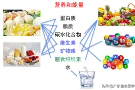 科普小知识—健康饮食常识图片