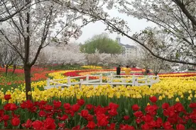 花粉过敏、水果过敏、蔬菜过敏的那些误会图片