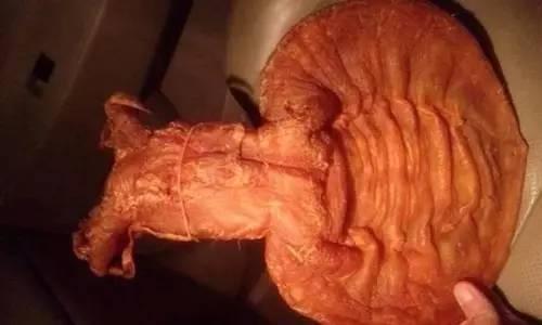 一立花胶鱼肚 2026年花胶鱼肚的功效与作用