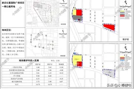 红星国际广场项目控规动态维护，新方案公示图片