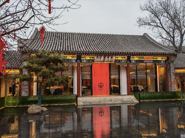 珠珠花胶坊 2026年珍珠花胶图片