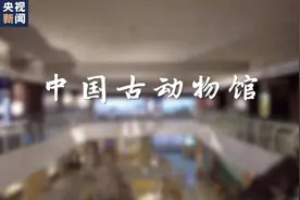 自然博物馆奇妙之旅Vlog丨5亿年大IP！恐龙有话说图片