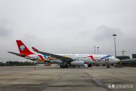 65米大飞机“降临”成都天府国际机场图片