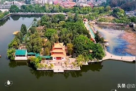 春天里的牡丹花与郁金香图片