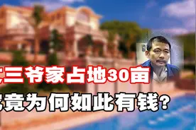 文三爷家占地近30亩，银行卡流水70亿，究竟做了什么如此有钱？图片