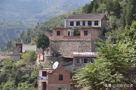 81岁大娘崇山峻岭采豆荚，身轻如燕健步如飞，采回豆荚舍不得吃图片