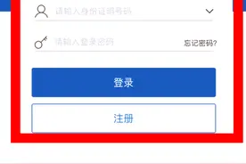 补换领机动车号牌  用交管“12123”  动动手指就搞定！图片