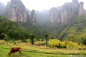 浙江竟然还有不通公路的村庄，遗落深山，美如世外桃源图片