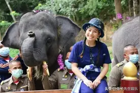 泰王33岁女儿逛动物园真威风，手拿萝卜喂大象，周围人跪了一地图片