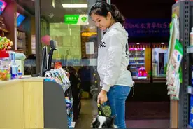 专家建议将秋田犬、松狮犬等6类犬种移除出拟禁养烈性犬名录图片