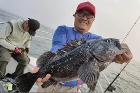 夏天到了大连夜钓小黑鱼的好季节图片