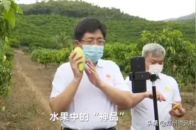 你信吗？有网友说三亚市长直播"失误",将79元的贵妃芒错设成29元图片
