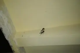 旧书市场：略谈旧书经营图片