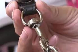 找人代购古驰“小蜜蜂”手包，跟朋友撞包后发现竟是假的？图片