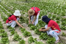 被困孟屯河，我们却有了意想不到的收获图片