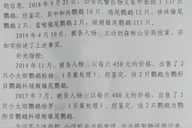 广西男子市场购买鹦鹉自学技术繁殖 售卖4只获刑5年罚款2万图片