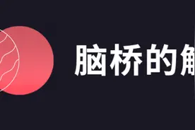 中枢神经系统疾病定位诊断图解——脑桥的解剖生理及定位诊断图片
