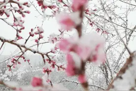 大雪纷飞，白城医高专校园变成了粉妆玉砌的世界，美极了！图片