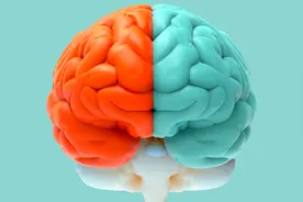 右脑的秘密，融入宇宙一体的涅槃狂喜 | 谈判者的内心重塑图片