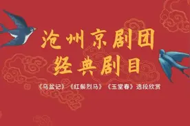 “云”端品国粹 | 沧州京剧团经典剧目《乌盆记》《红鬃烈马》《玉堂春》选段欣赏图片
