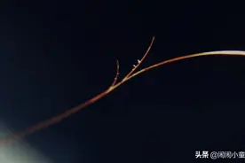 你的头发分叉了吗？我们该如何巧妙解决分叉问题？图片