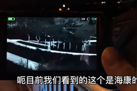 公园夜晚虽黑，在夜视仪下总能找到看不见的惊喜图片
