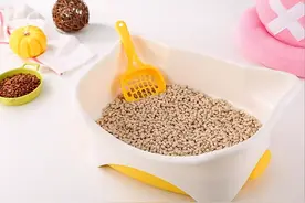 猫砂用完了怎么办？铲屎官脑洞大开的自制猫砂，看看你家用过几个图片