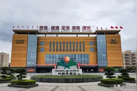 广西扬翔拟IPO：去年盈利39亿元 拟募资104亿发展养猪及延伸行业图片