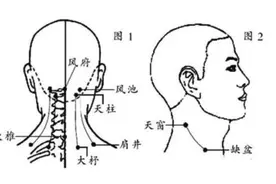 倪海厦：针灸之天窗、天容与颧髎穴，甲状腺肿块可在此调理图片