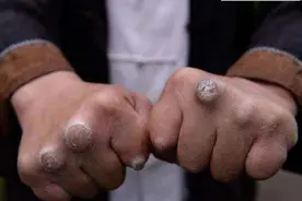 盘点娱乐圈真正拥有真功夫的明星，一双手告诉你真相图片