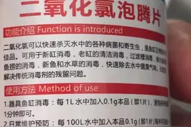 二氧化氯泡腾片是可以给鱼杀虫杀菌的，你操作错误才没有效果图片