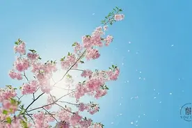 人生三大恶习，千万要戒掉图片