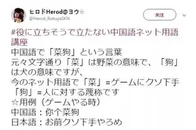 日本网友现身科普中国网络用语？这画风太神奇图片