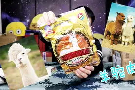 开箱试吃粉丝寄过来的羊驼肉，羊驼那么可爱，怎么可以吃它肉肉视频封面