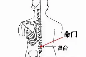 一味清代名方：安肾汤，温肾暖脾，祛湿化浊，可调理脾肾阳虚症图片