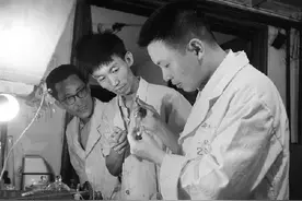新中国档案：1965年9月17日，我国首次人工合成结晶牛胰岛素蛋白图片