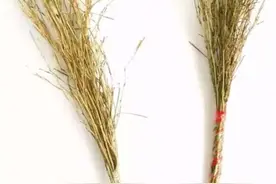 我老妈自制的这种揍娃神器，你家有没有？图片